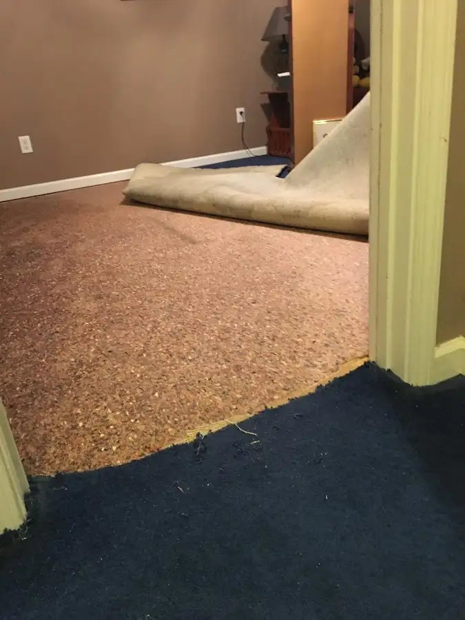 Carpet pad removal revealing water damage during Drying & Dehumidification in Shafter