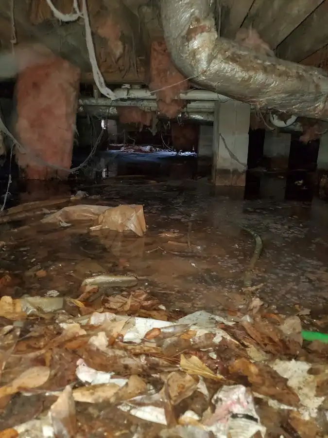 Crawl space flood assessment for Leak Detection & Repair in Shafter