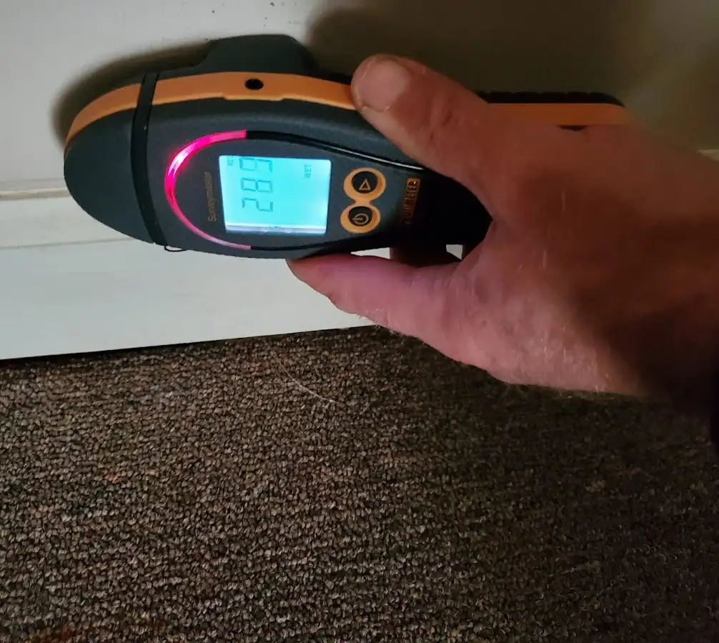 Moisture detection at baseboard during Burst Pipe Cleanup in Shafter